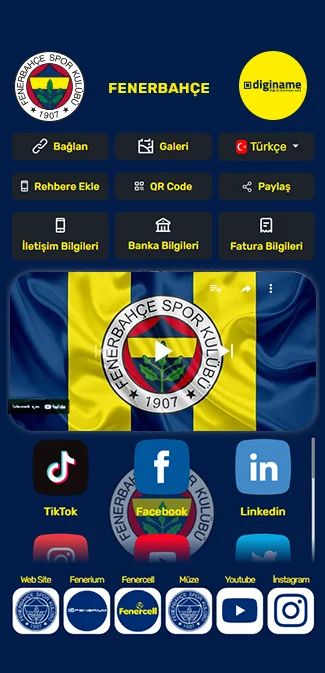 Fenerbahçe Lacivert Tema